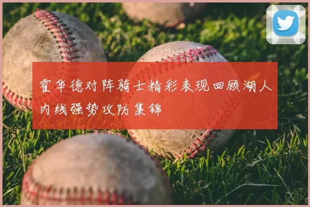 霍华德对阵骑士精彩表现回顾湖人内线强势攻防集锦